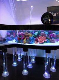 Tanked