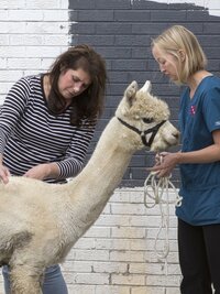 Dr. Jeff: Rocky Mountain Vet