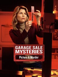 Garage Sale Mysteries