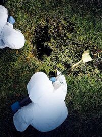 Buried in the Backyard