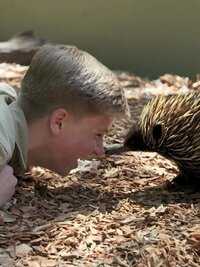 Crikey! It's the Irwins