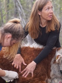 Dr. Oakley, Yukon Vet