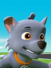 PAW Patrol