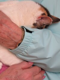 The Incredible Dr. Pol