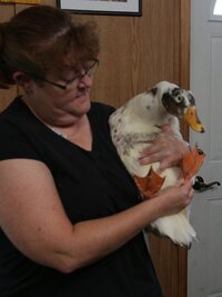 The Incredible Dr. Pol