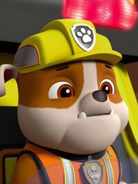 PAW Patrol