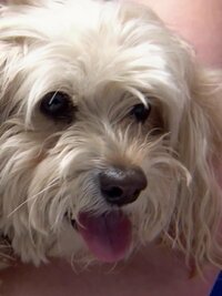 Dr. Jeff: Rocky Mountain Vet