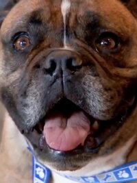 Dr. Jeff: Rocky Mountain Vet