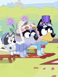 Bluey