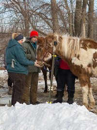 The Incredible Dr. Pol