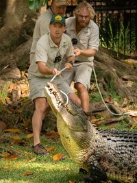Crikey! It's the Irwins