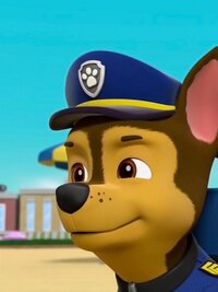 PAW Patrol