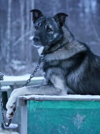 Life Below Zero
