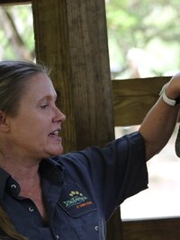 Secrets of the Zoo: Tampa