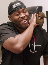 The Vet Life