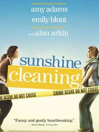 Sunshine Cleaning