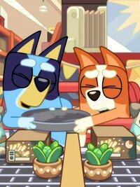 Bluey