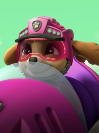 PAW Patrol