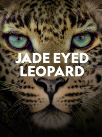 Jade Eyed Leopard
