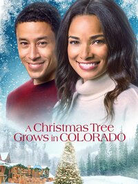 A Christmas Tree Grows in Colorado