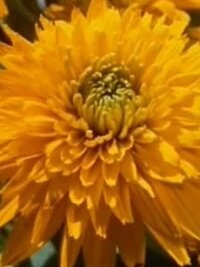 Little House on the Prairie