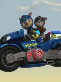 PAW Patrol