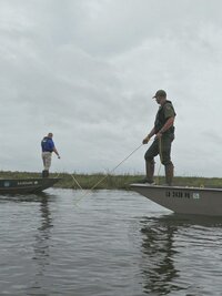 Louisiana Law