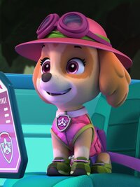 PAW Patrol