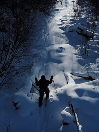 Life Below Zero