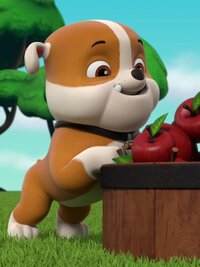 PAW Patrol