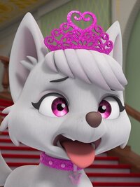 PAW Patrol