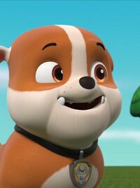 PAW Patrol