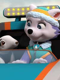 PAW Patrol