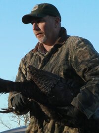 Louisiana Law