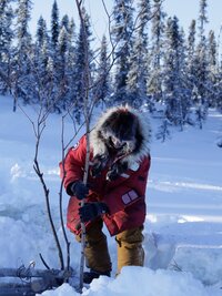 Life Below Zero