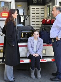 Blue Bloods