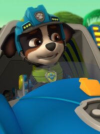 PAW Patrol