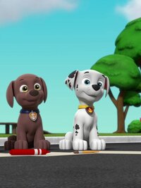 PAW Patrol