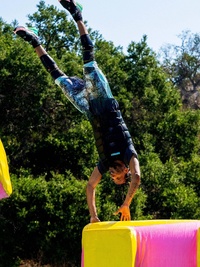 Wipeout