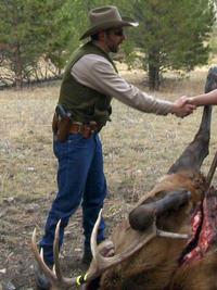 Yellowstone Wardens