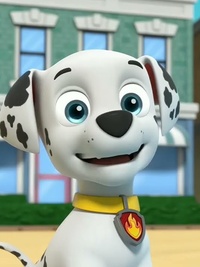 PAW Patrol