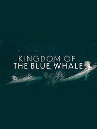 Kingdom of the Blue Whale