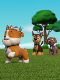 PAW Patrol