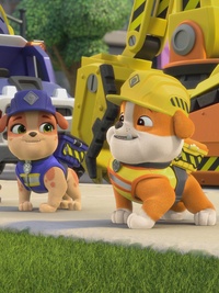 Rubble & Crew