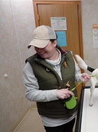 The Incredible Dr. Pol