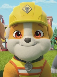 Rubble & Crew