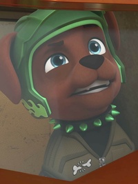 PAW Patrol