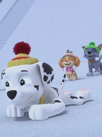 PAW Patrol