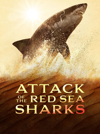 Attack of the Red Sea Sharks