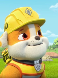 Rubble & Crew